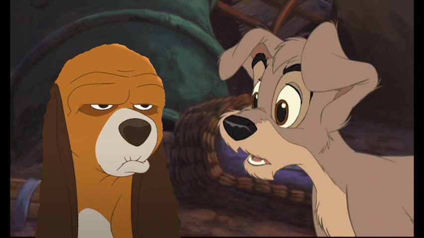 Scamp and Copper