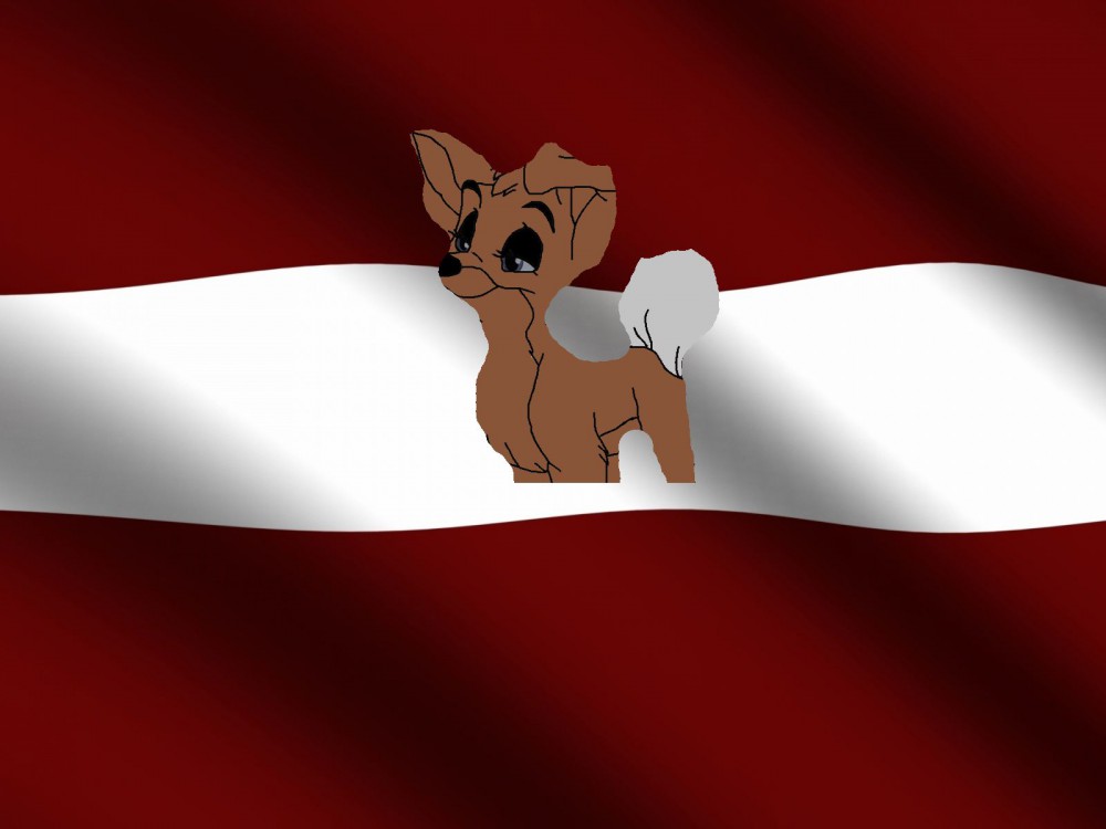 I love you Latvia