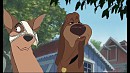 Funny dog