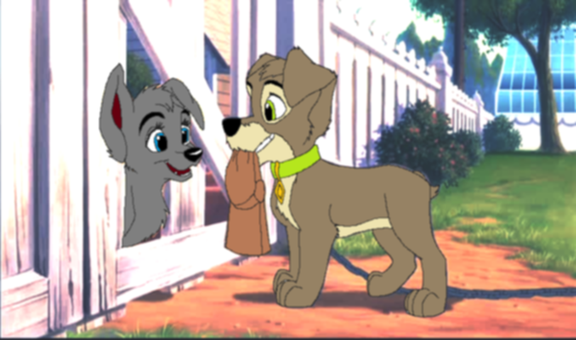 Nikita and Nudge