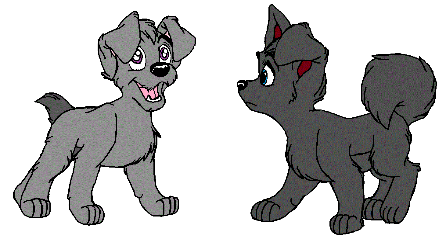 Gift for Dodger