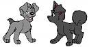 Gift for Dodger