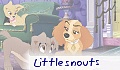 little.snouts