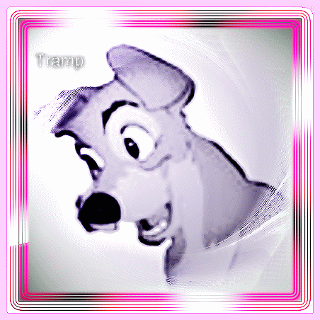 Tramp avi