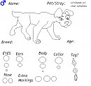             Char template *Read discription*