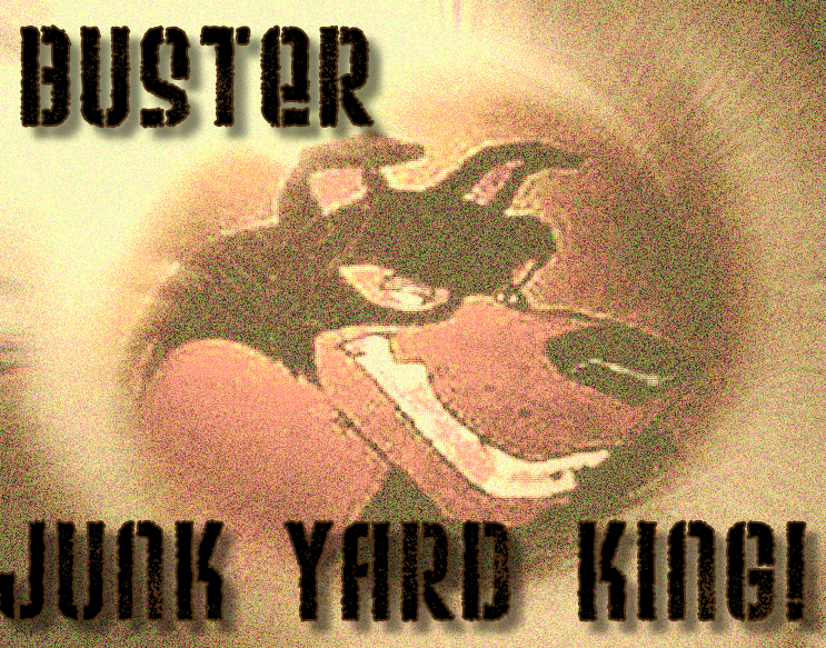 Free Buster Avi 