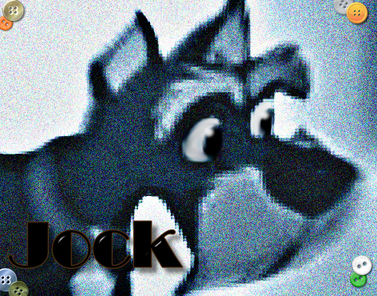 Free Jock Avi