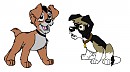 request for tross