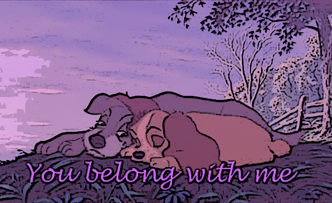 You belong with me