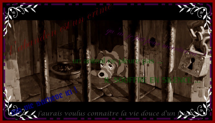 L'abandon est un crime ...