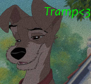 Tramp Avvie < 3