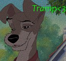 Tramp Avvie < 3