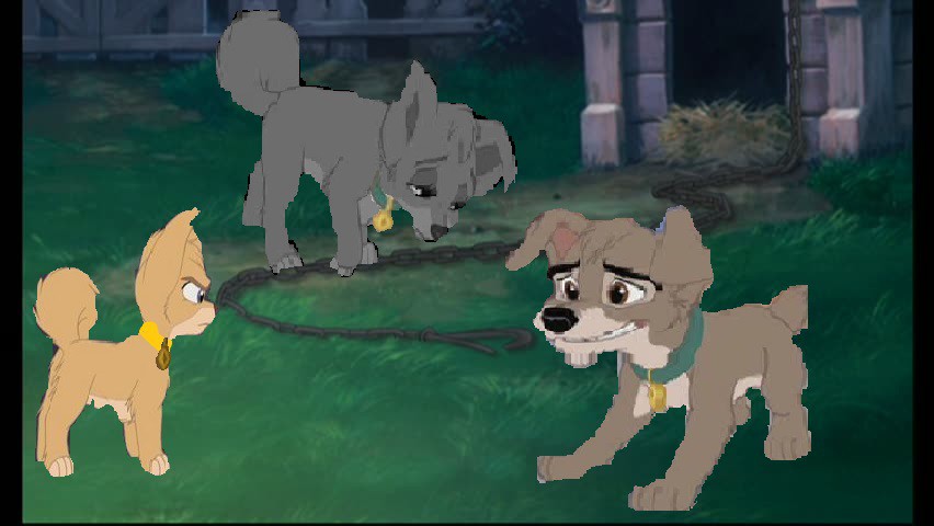 Angel, Cho and Scamp arguing
