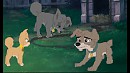 Angel, Cho and Scamp arguing
