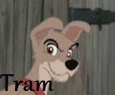 Tramp