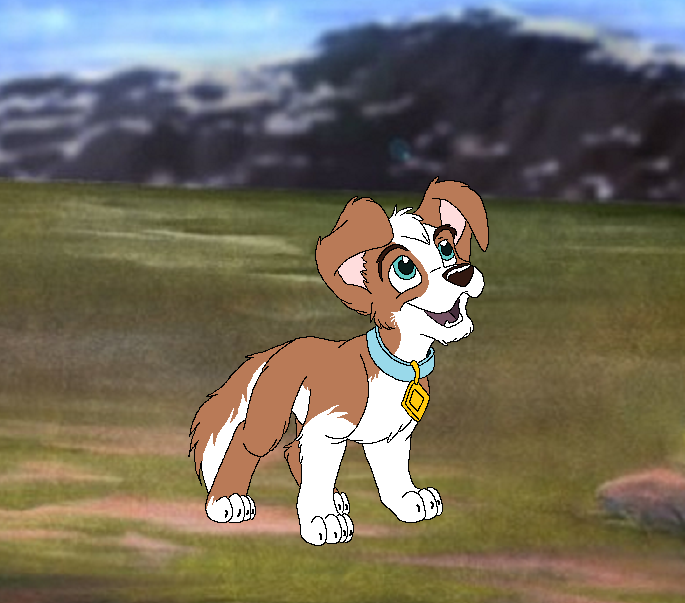 Adopted from: Tross