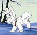 Pelasco