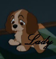 Lady puppy