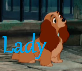 Lady: lovely people with always