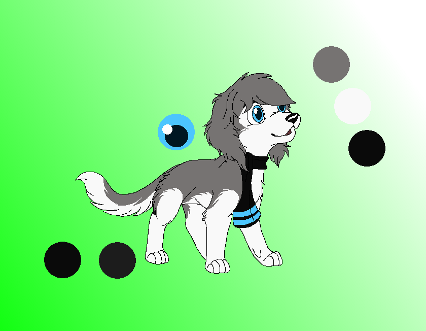Gift for Pawface