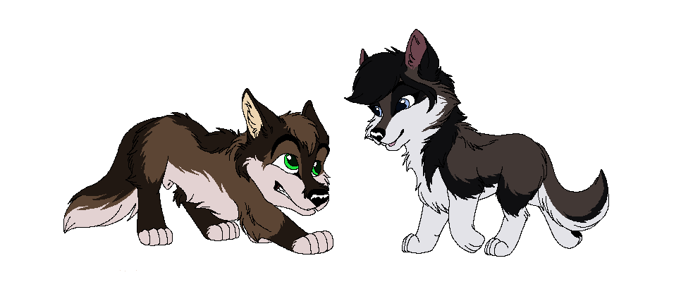 Fan Pups