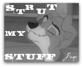 Strut My Stuff Avvie