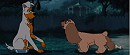 Romantic fight (Epic) 