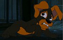 Romeo as a puppy