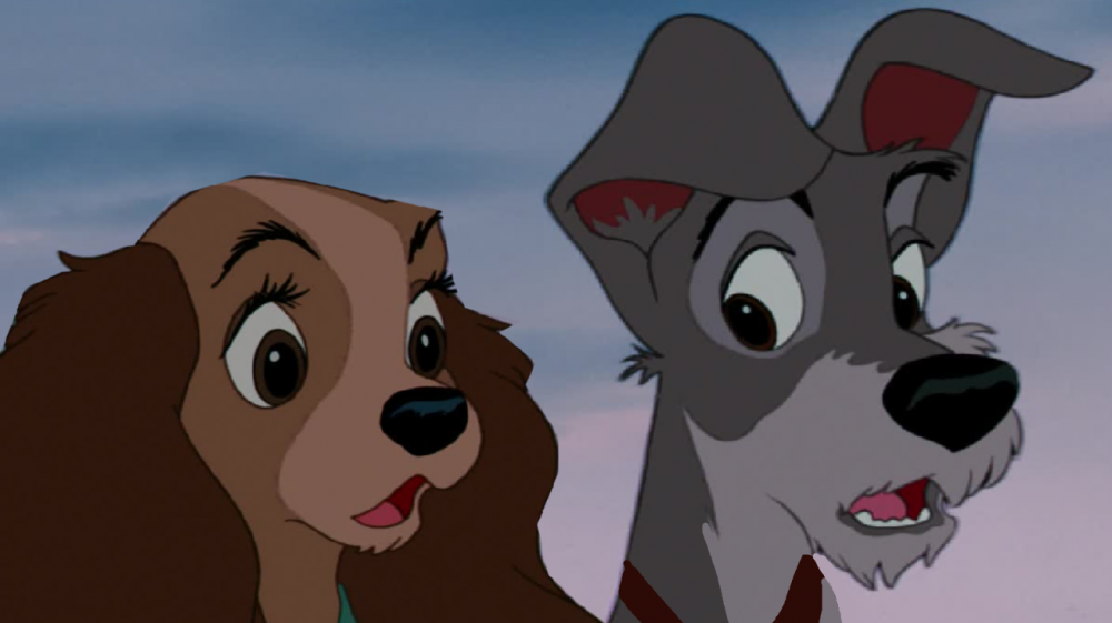 Lady and The Tramp Surpried