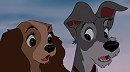 Lady and The Tramp Surpried