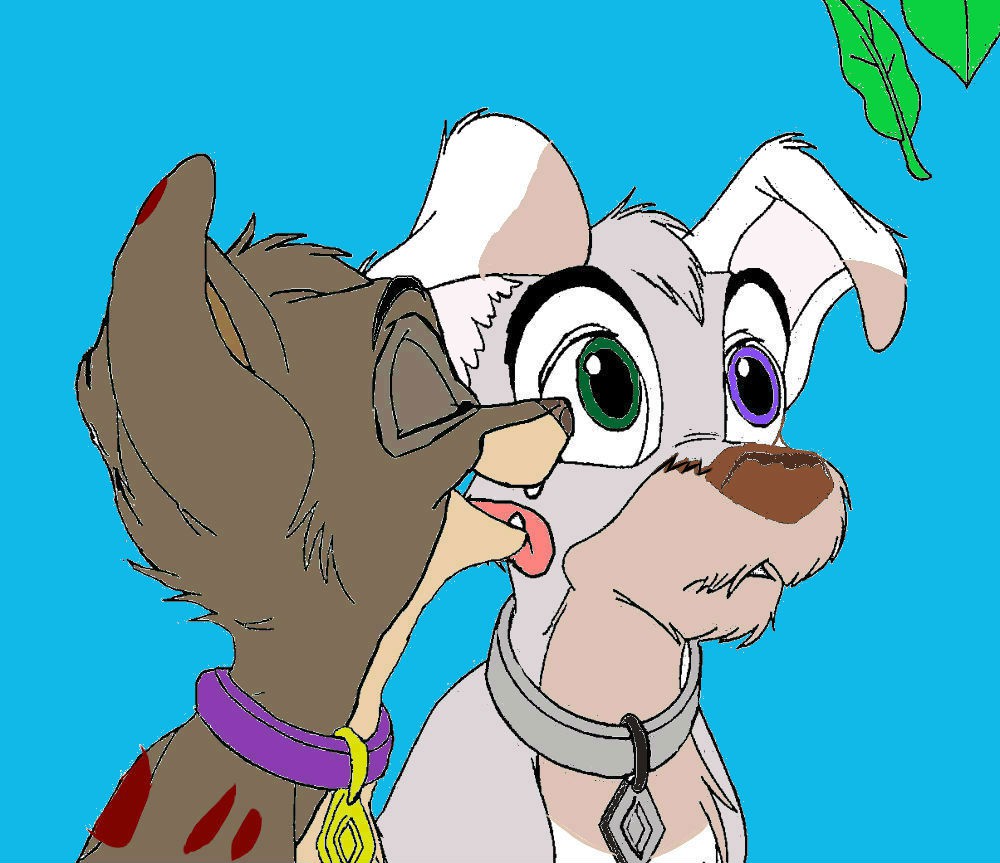  a gift for Rachelisme