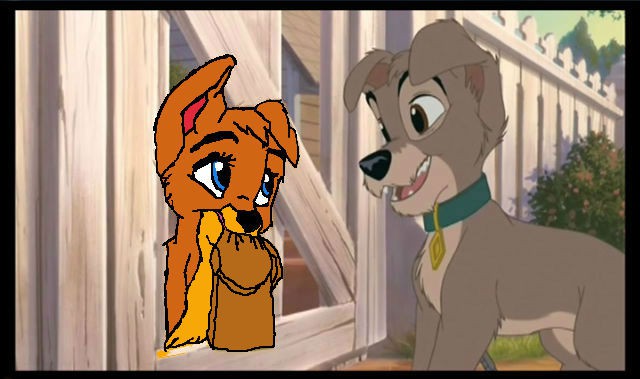 the meeting