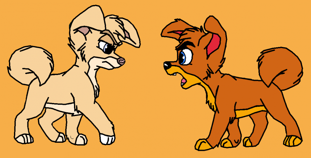 Angel and Alex argument for Scamp!