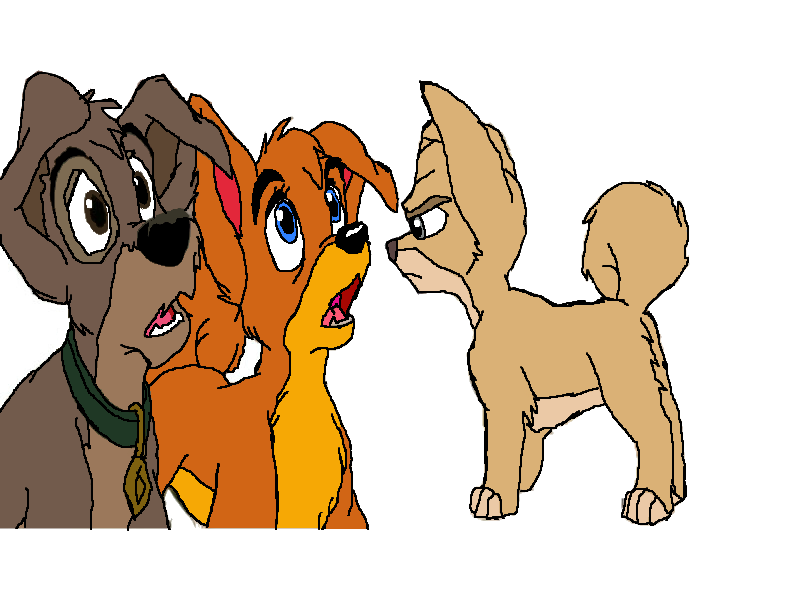 Scamp! What do you do with her?