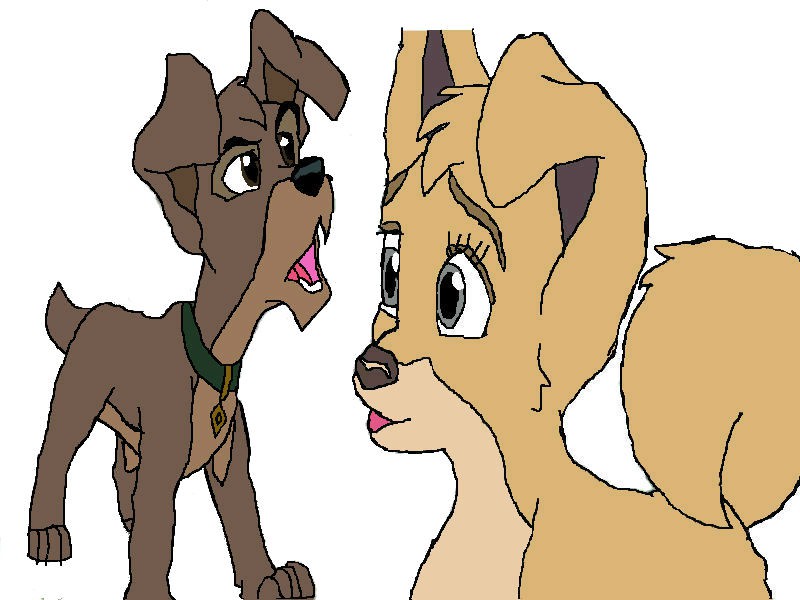 Angel and Scamp argument