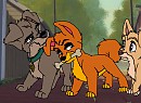 The walk