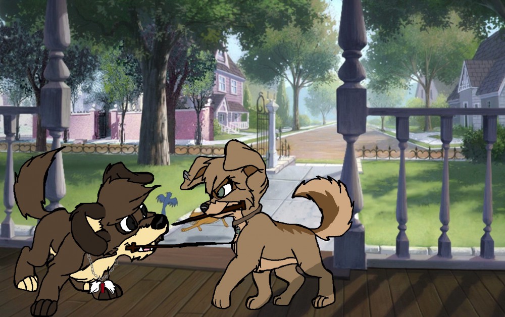 Nerds Fighting with sticks 