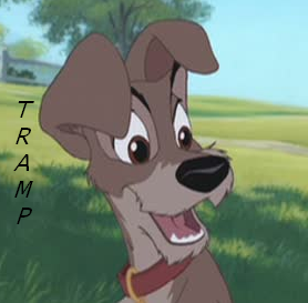 Tramp avatar