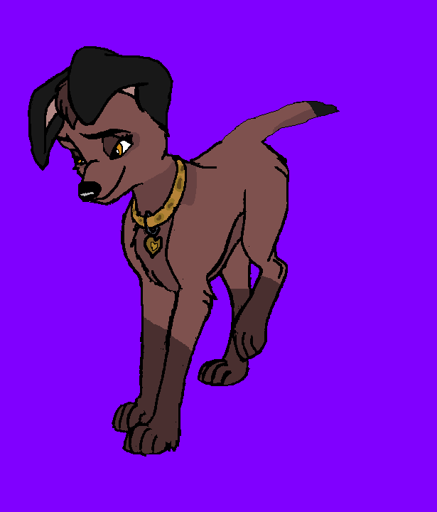Dixie