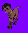 Dixie