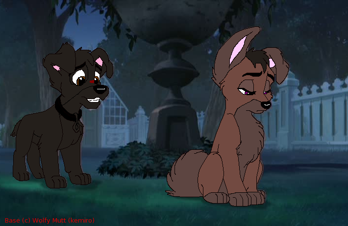 Sasha and Bone as puppies