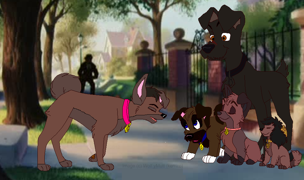 Our nice family 