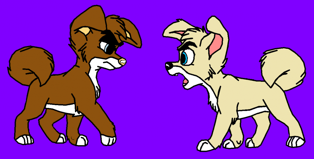 Puppies