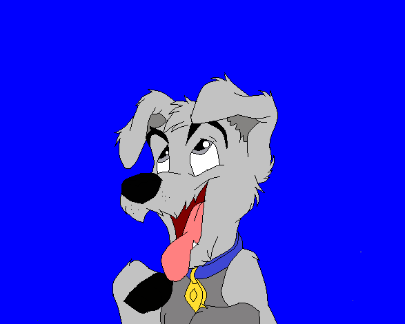 Champio for Commondog