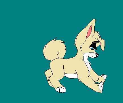 Angelina as a puppy