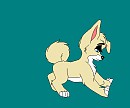 Angelina as a puppy
