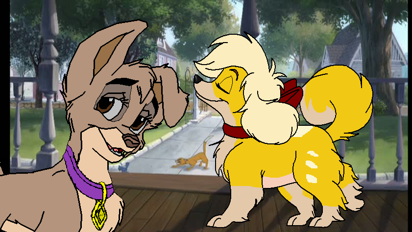 For Pawface