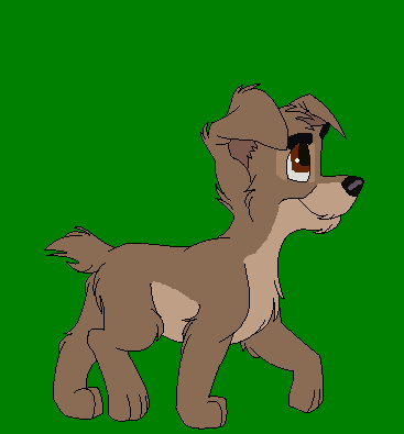 Scamp