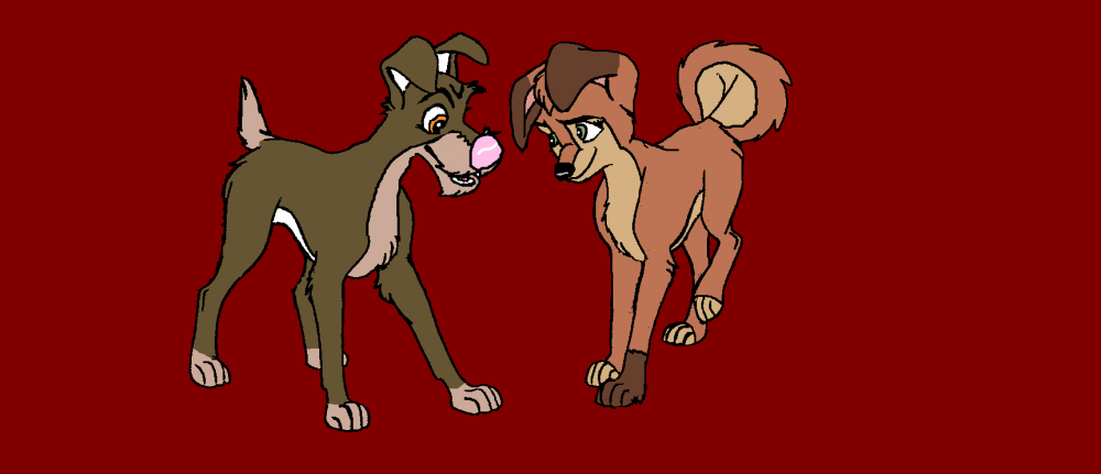 Hichko and Dolce - friends