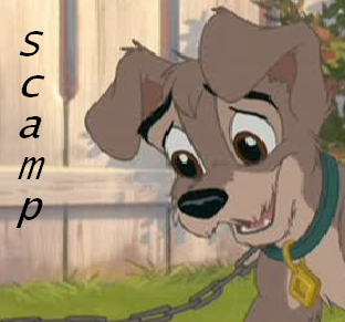 Scamp avvie